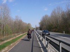 IMGP0778.JPG