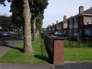 IMGP1617