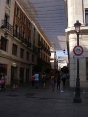 IMGP7872.JPG