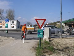 IMGP0785.JPG