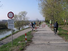 IMGP0660.JPG