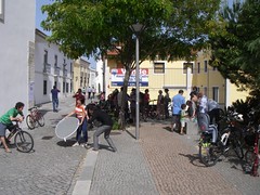IMGP5936.JPG