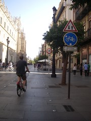 IMGP7877.JPG