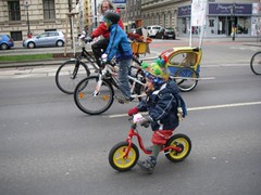 IMGP0493.JPG