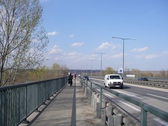 IMGP0781.JPG