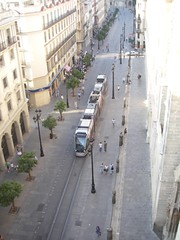 IMGP7503.JPG