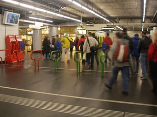 IMGP0152.JPG