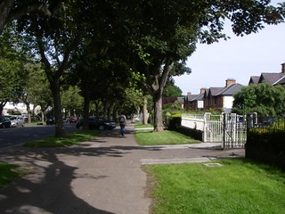 IMGP1615