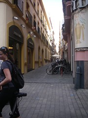 IMGP7471.JPG