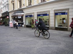 IMGP0806.JPG