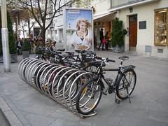 IMGP0816.JPG