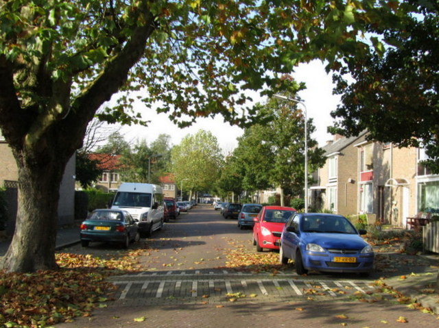 image13
