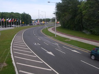 IMGP1584