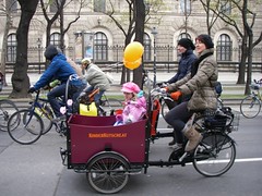 IMGP0498.JPG