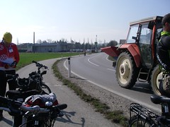 IMGP0691.JPG