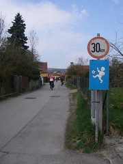IMGP0704.JPG