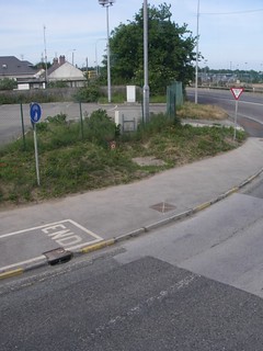 IMGP1587