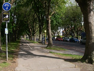 IMGP1624