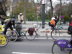 IMGP0481.JPG
